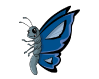 thumb_borboleta